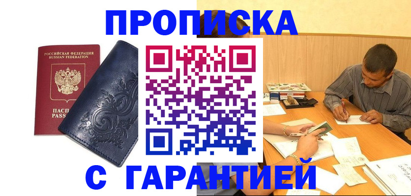 прописка поиск в Камешково